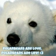Polar_Powerz