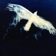EtherealHawk
