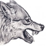 JustWolfjuuh
